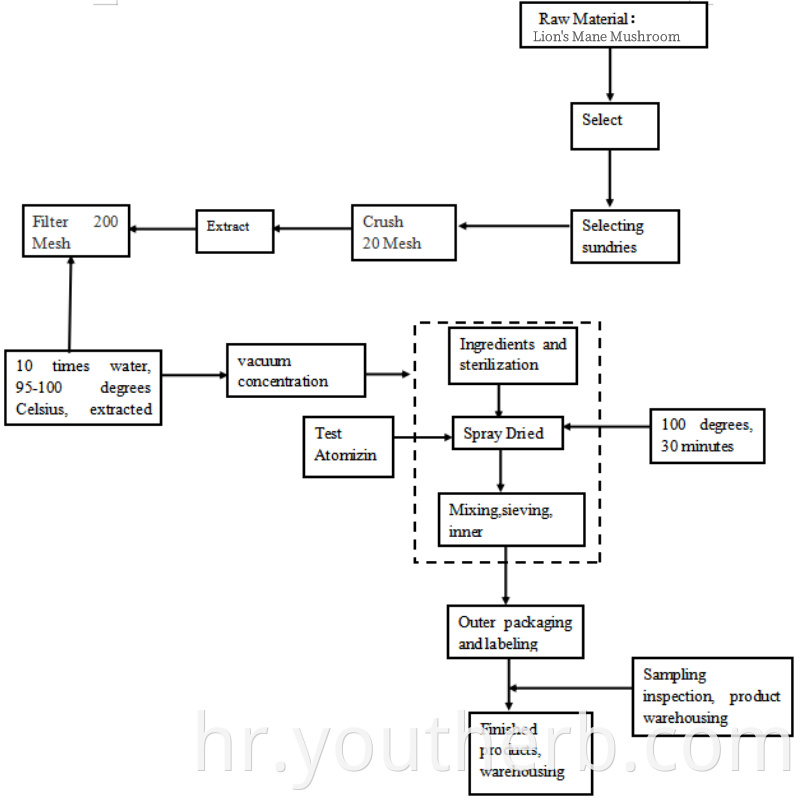 hericium erinaceus benefits
